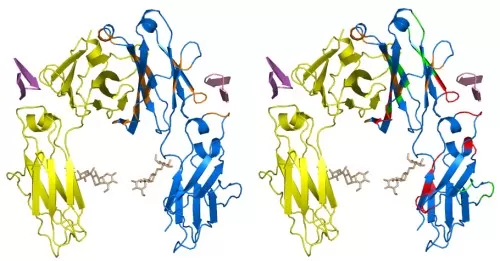 Illustration of PPI